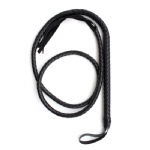 Black long whip